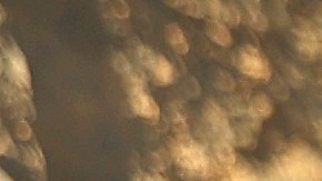 El segundo incendio cerca de Yosemite ha arrasado ya unas 6.300 hectáreas