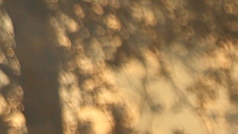 El segundo incendio cerca de Yosemite ha arrasado ya unas 6.300 hectáreas