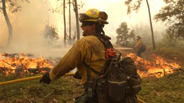 El segundo incendio cerca de Yosemite ha arrasado ya unas 6.300 hectáreas