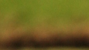 Hombre muere ahogado frente a su hijo tratando de recoger pelotas de golf en un lago de Florida