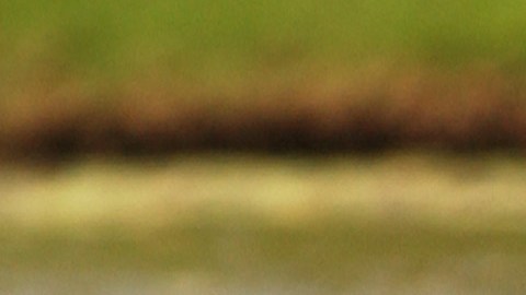 Hombre muere ahogado frente a su hijo tratando de recoger pelotas de golf en un lago de Florida
