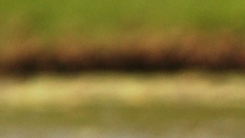 Hombre muere ahogado frente a su hijo tratando de recoger pelotas de golf en un lago de Florida