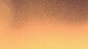 Georgia Distrito Escolar Porte de Armas