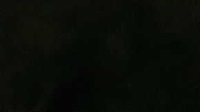 El aficionado fue la sensación con su gran atrapada.