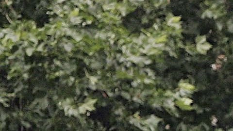 Una vista del autobús destruido por una bomba en Woburn Place en Londres