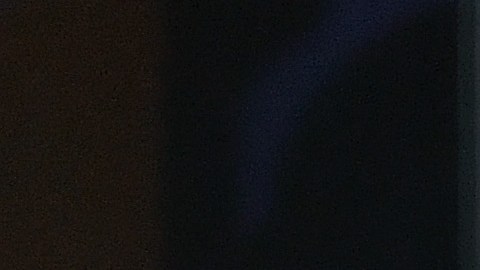 Dolly, la oveja, en una exhibición.