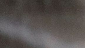 Gemelos protagonizan increíble historia; mueren el mismo día a los 70 años de edad, pero de enfermedades distintas