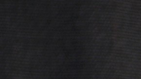 LOS ANGELES, CA - FEBRUARY 18: A Los Angeles police officer wear an AXON body camera during the Immigrants Make America Great March to protest actions being taken by the Trump administration on February 18, 2017 in Los Angeles, California. Protesters are calling for an end to stepped up ICE raids and deportations, and that health care be provided for documented and undocumented people. (Photo by David McNew/Getty Images)