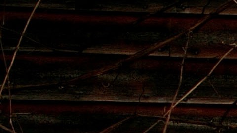Ed Gein  no era en realidad un asesino en serie, solo admitió haber matado a dos mujeres, sino un ladrón de cuerpos que estaba obsesionado con su difunta madre, Augusta.