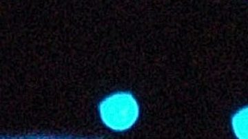 Belinda | Larry French/Getty Images for NFL.