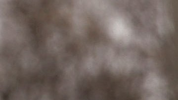 Boston Supremacistas blancos neonazis