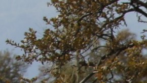 A Highway Patrol officer speaks to a woman while blocking off a road to traffic after a shooting on November 14, 2017, in Rancho Tehama, California - Four people were killed and nearly a dozen were wounded, including several children, when a gunman went on a rampage at multiple locations, including a school in rural northern California. (Photo by Elijah Nouvelage / AFP) (Photo by ELIJAH NOUVELAGE/AFP via Getty Images)