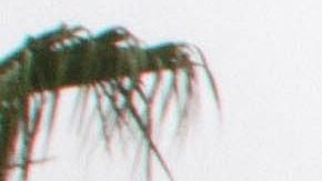 Camiones de carga comercial cruzan el Puente Internacional de Comercio Mundial entre Nuevo Laredo, en México, y Laredo en EE.UU.