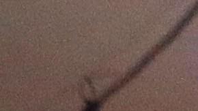 Latinos Hispanos Elecciones 2022 Elecciones intermedias