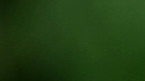 Serpiente de cascabel mata a niño de 6 años tras morderlo cuando paseaba en bici en Colorado