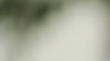 Supremacistas Blancos Frente Patriota Nacionalista Blanco Boston