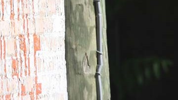 La policía de Vermont no dio explicaciones de la muerte a tiros del exnovio de la mujer.