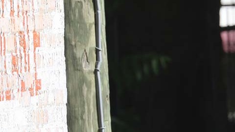 La policía de Vermont no dio explicaciones de la muerte a tiros del exnovio de la mujer.