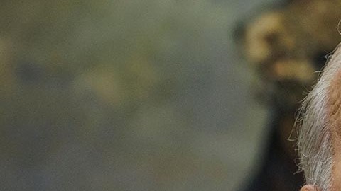 Disminuye la popularidad de Joe Biden entre los hispanos, aseguran es por su bajo desempeño