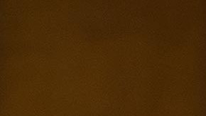 La Senadora Susan Collins dio una conferencia de prensa con respecto a este tema.