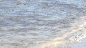 Hallazgo de droga en playa mexicana