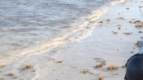 Hallazgo de droga en playa mexicana