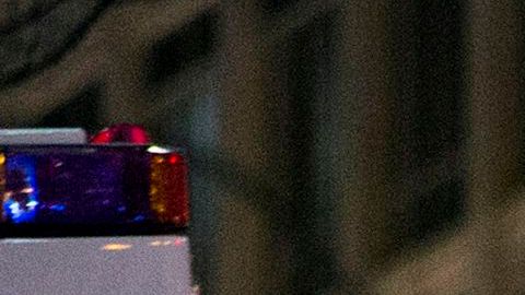 Hijo decapitó a su propia madre con un bate de béisbol en Washington