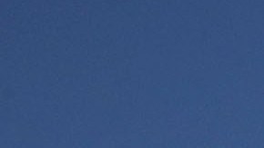 Hombre arrestado por lanzar cóctel Molotov a policías del Capitolio de Estados Unidos