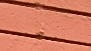 Eunisses Hernández tomará posesión del cargo como concejal por el distrito 1 del Concejo de LA en diciembre. (Araceli Martínez/La Opinión)