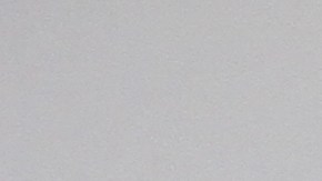 Diana Carreño en México.