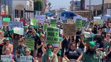 Protestantes pidieron en Venice que se legalice el aborto en Estados Unidos. (Rise Up 4 Abortion Rights)