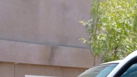 Walter Villeda, vendedor de paletas, ha optado por el transporte público para ahorrar en el gas. (Suministrada)