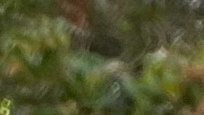 José de Jesús García se reunifica con su madre Vicenta Valdivia. (Cortesía Paulina Herrera)