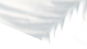 Nueva generación de policías latinos.