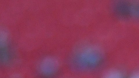 Diego Montaño estuvo en el ojo del huracán en días recientes, pero salió bien librado del escándalo.