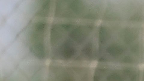 El mexicano ahora vestirá la camiseta del AEK Atenas