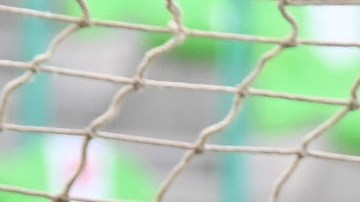 El jugador no ha visto ni un minuto en la temporada de la MLS.