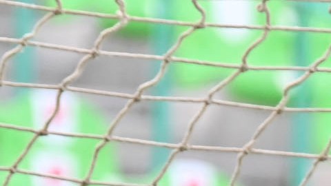 El jugador no ha visto ni un minuto en la temporada de la MLS.