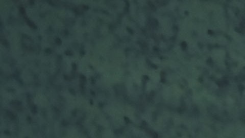 Selección de México.