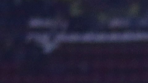 Águilas del América