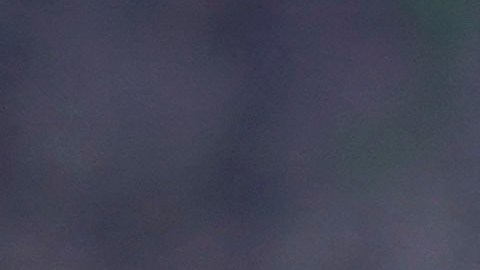 Dani Alves