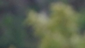 Dani Alves, nuevo jugador de los Pumas de la UNAM de la Liga MX.