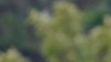 Dani Alves, nuevo jugador de los Pumas de la UNAM de la Liga MX.