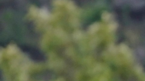 Dani Alves, nuevo jugador de los Pumas de la UNAM de la Liga MX.