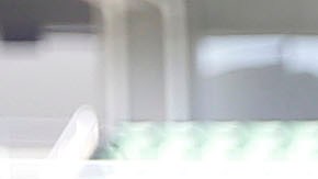 Club América femenil en la Liga MX de la categoría.