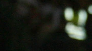 Mario Carrillo, exfutbolista y DT.