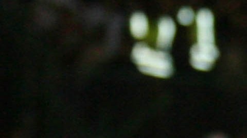 Mario Carrillo, exfutbolista y DT.