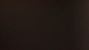 Javier Eduardo "Chofis" López celebra un gol.