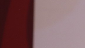 AMLO revela que dejó carta a Joe Biden para pedir exoneración de Julian Assange, fundador de WikiLeaks