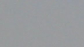 En las ciudades, los árboles son esenciales contra el calor extremo